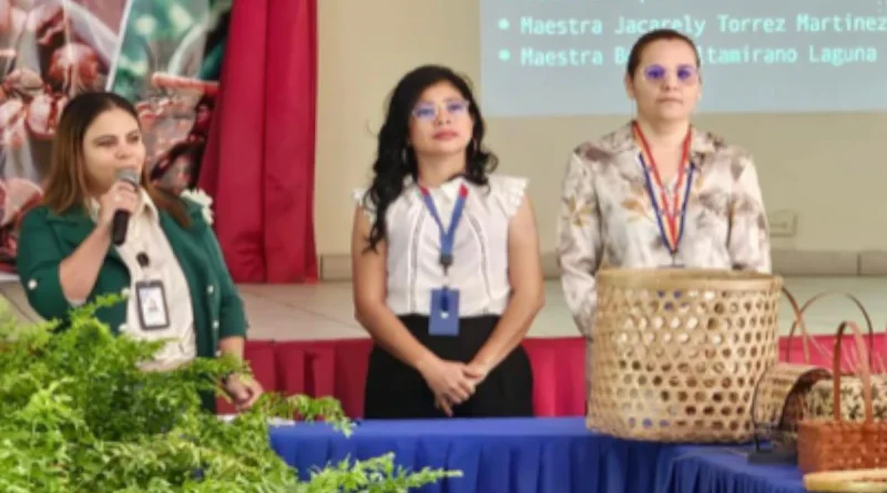 economía creativa, nicargua, gobierno de nicragua, uso de fibras naturales,