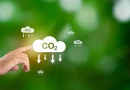 Brasil, iniciativa, coalición global, mercados de carbono, medioambiente,