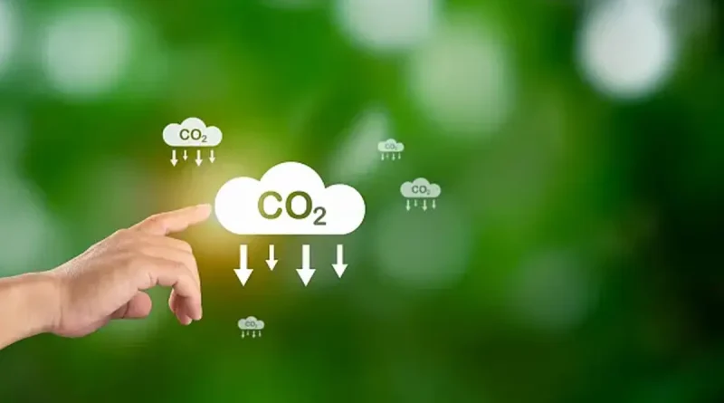 Brasil, iniciativa, coalición global, mercados de carbono, medioambiente,