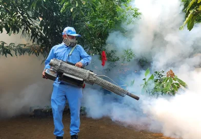 minsa, brigadistas, jornada antiepidemica, barrio laureles sur, dengue
