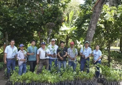 marena, nicaragua, verde te quiero verde, redorestacion, boaco,