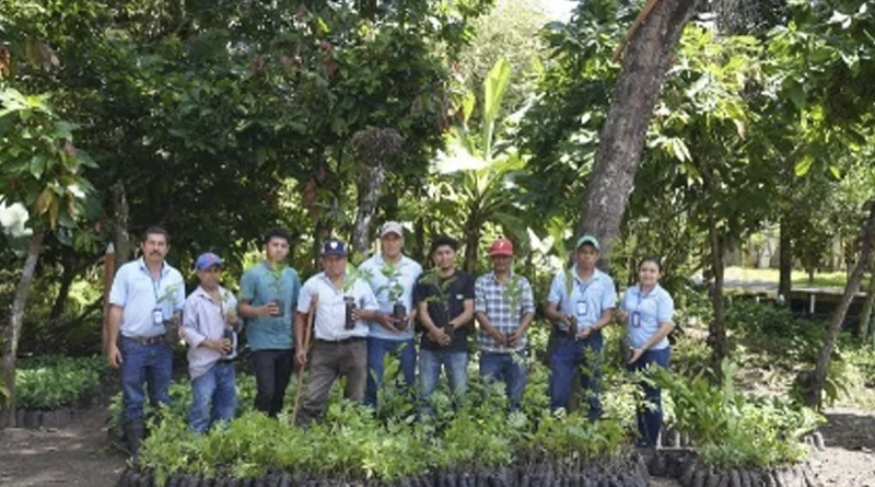 marena, nicaragua, verde te quiero verde, redorestacion, boaco,