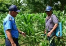 seguridad en el campo, policía Nacional, Nicaragua, seguridad ciudadana,