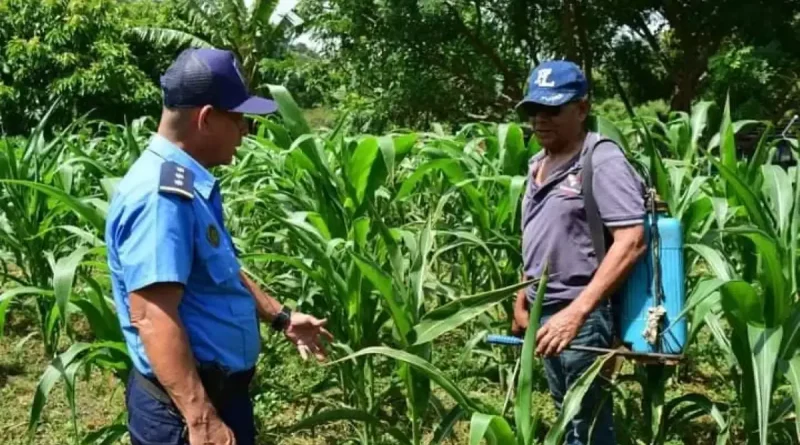 seguridad en el campo, policía Nacional, Nicaragua, seguridad ciudadana,