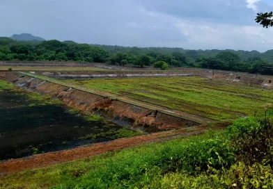 león, nicaragua, aguas residuales nicaragua, enacal nicaragua, leon nicaragua, gobierno de nicaragua, saneamiento ambiental nicaragua