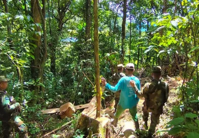 nicaragua, ejercito, instituciones
