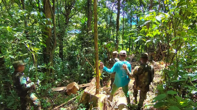 nicaragua, ejercito, instituciones