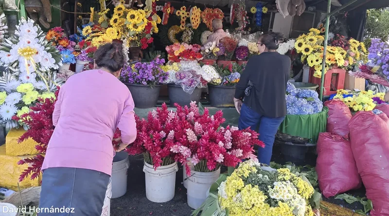 nicaragua, managua, fieles difuntos, emprendedores