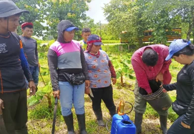 nicaragua, inta, producción agropecuaria, Rio San Juan