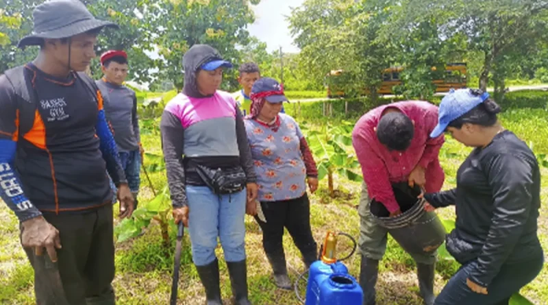 nicaragua, inta, producción agropecuaria, Rio San Juan