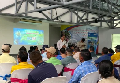 matagalpa, nicaragua, inta, congreso, investigacion,