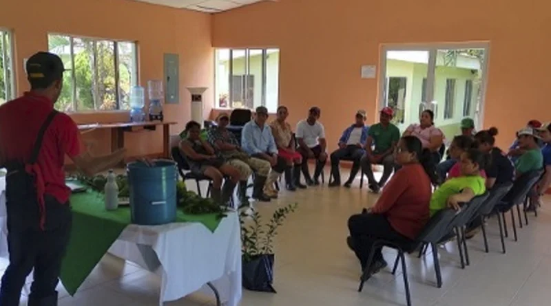 nicaragua, inta, biofertilizantes, costa caribe,