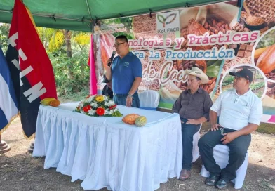 inta, nicaragua, cacao, produccion, jinotega,