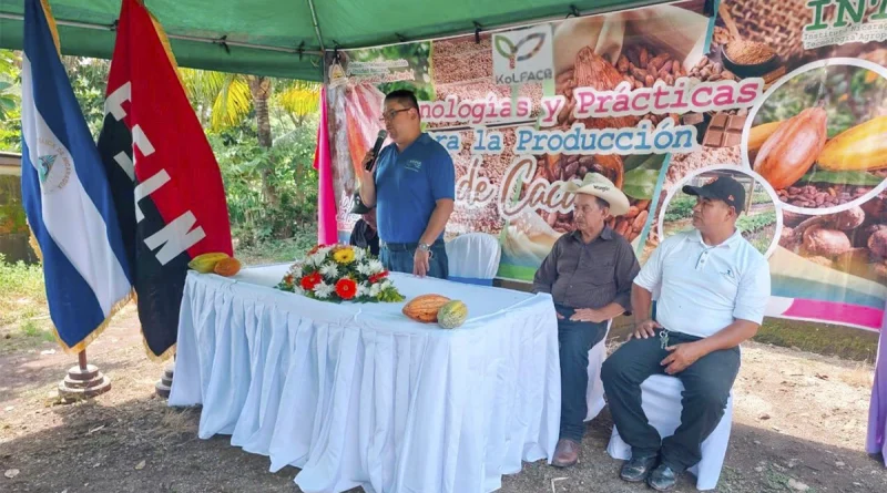 inta, nicaragua, cacao, produccion, jinotega,