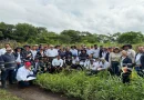 Manejo de Roedores, taller nacional, ipsa nicaragua