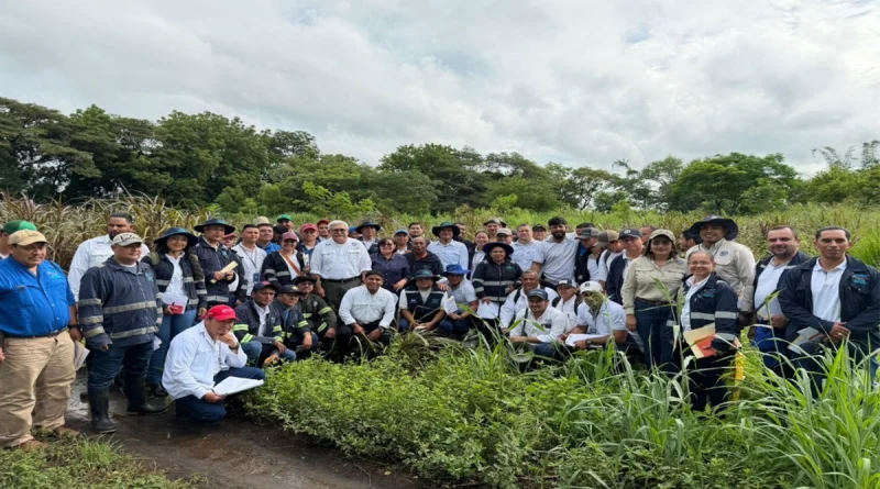 Manejo de Roedores, taller nacional, ipsa nicaragua