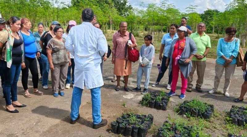 intercambio regional, león, moringa, inta