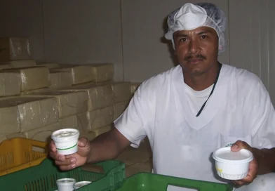 lacteos, ministerio agropecuario, nicaragua, economia, produccion, emprendedores, subproductos,