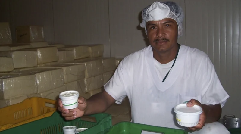 lacteos, ministerio agropecuario, nicaragua, economia, produccion, emprendedores, subproductos,