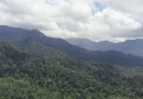 siuna, parque nacional de cerro saslaya, monitoreo biodiversidad, marena
