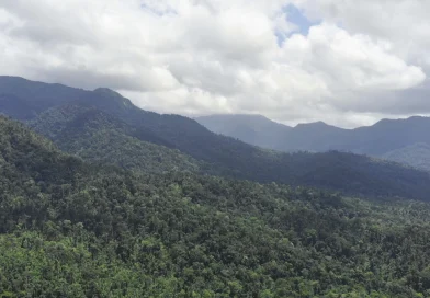 siuna, parque nacional de cerro saslaya, monitoreo biodiversidad, marena