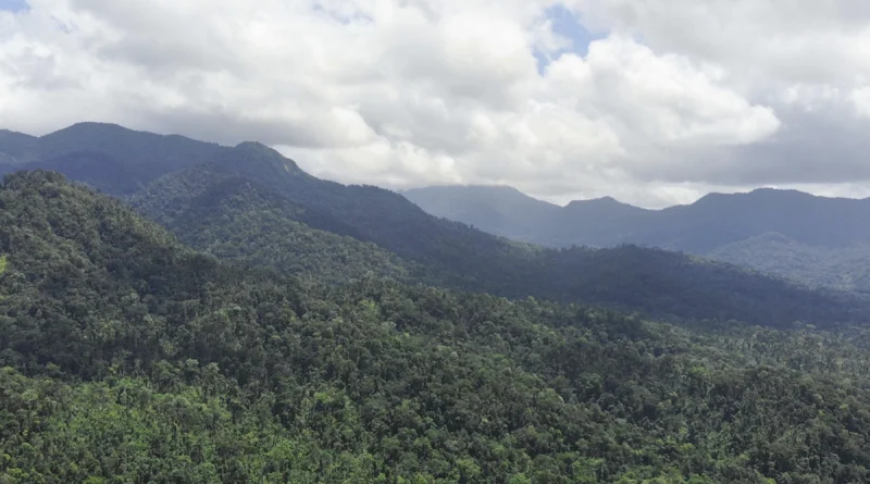 siuna, parque nacional de cerro saslaya, monitoreo biodiversidad, marena