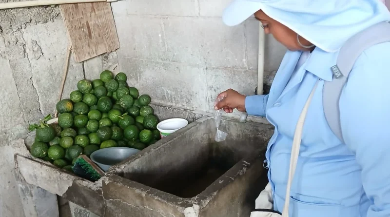nicaragua, minsa, fumigación, avatizacion, managua, nicaragua, salud, minsa,