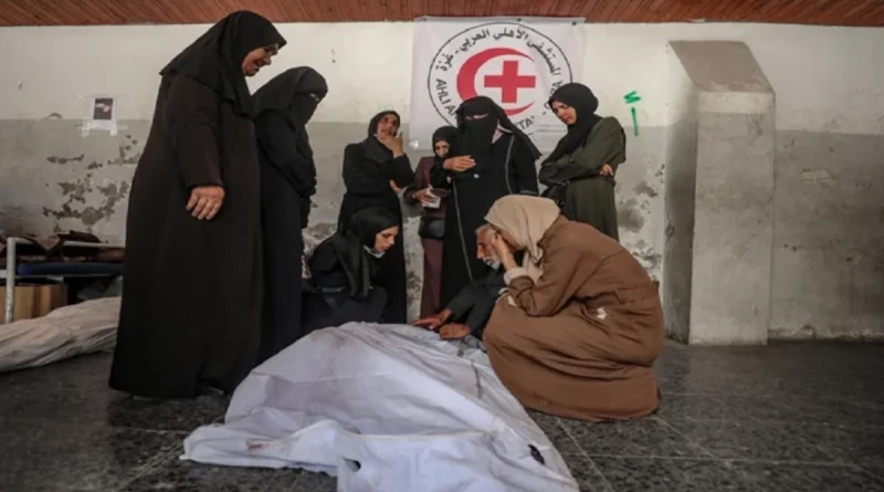20 mil estudiantes asesinados, gaza, cisjordania, palestina, genocidio de palestina, israel