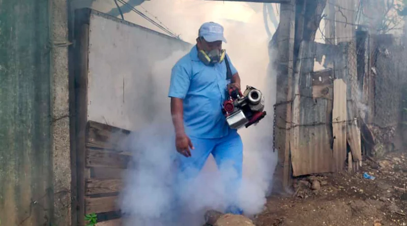 minsa, jornada de fumigación, managua, barrio dinamarca