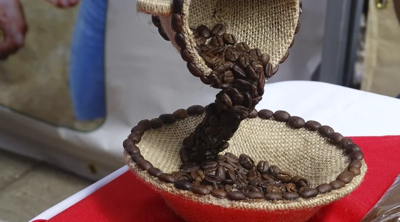 expocafe, nueva segovia, ocotal , nicaragua,