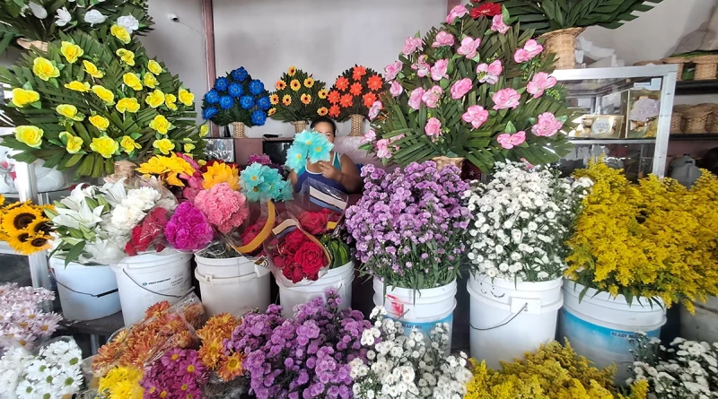 minsa, dia de los fieles difuntos, managua, bomberos unidos de nicaragua