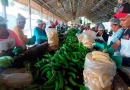 nicaragua, ministerio agropecuario, platano, procesamiento, agroindustrial,