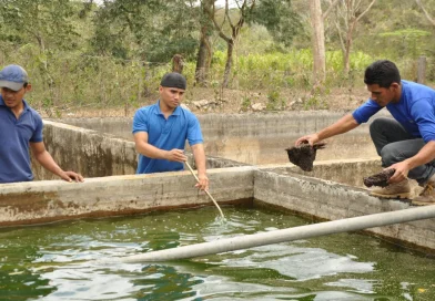 inpesca, acuicultura, productores, Matagalpa, Nicaragua,