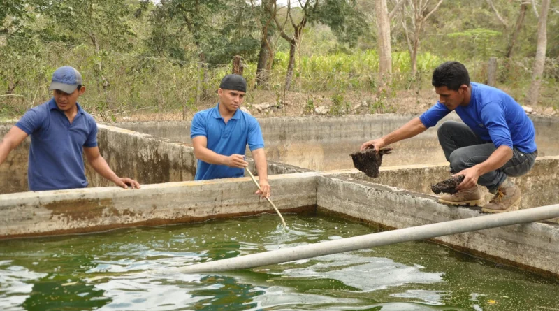 inpesca, acuicultura, productores, Matagalpa, Nicaragua,