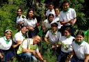 proyecto solar, reforestacion, matagalpa,