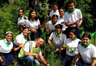 proyecto solar, reforestacion, matagalpa,
