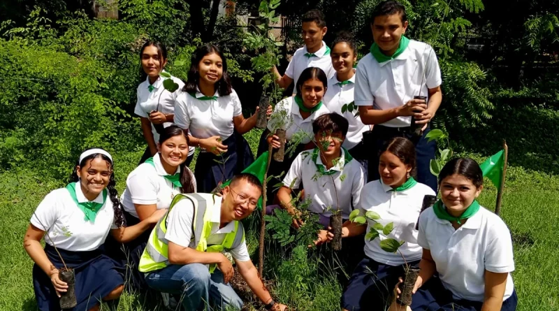 proyecto solar, reforestacion, matagalpa,