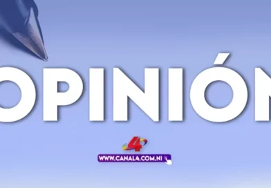 opinion, fabrizio casari, gaza,