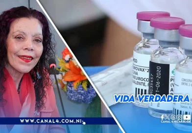 esquema de vacunación, Nicaragua, incorpora, fiebre amarilla, vacuna contra la fiebre amarilla,