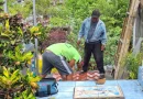 nicaragua, cementerio, Boaco