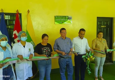 nicaragua, una, hongos comestibles, nicaragua