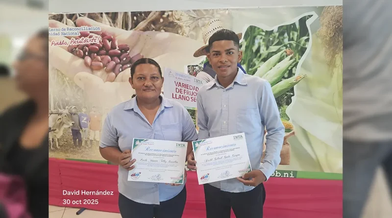 nicaragua, inta, certificado, productores, granos básicos