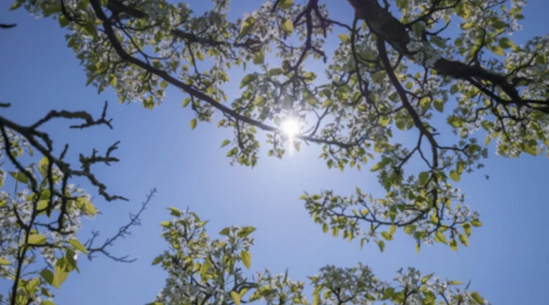 clima, ambiente caluroso, altas presiones, temperaturas, vientos moderados, ineter, 19 de noviembre de 2025, nicaragua