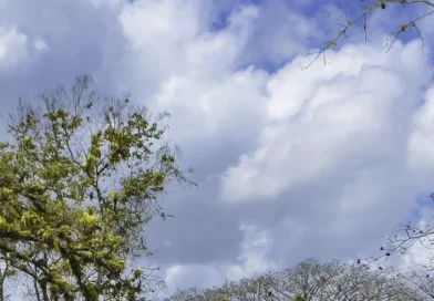 nicaragua, clima, ineter,