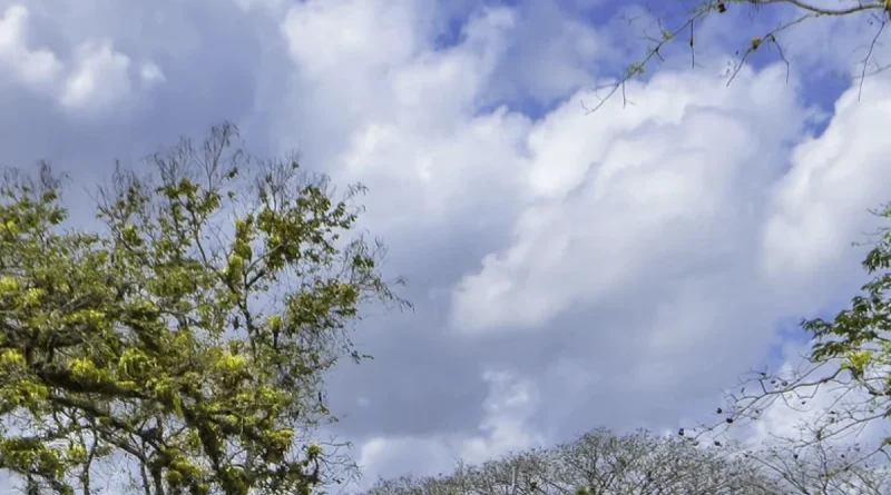 nicaragua, clima, ineter,