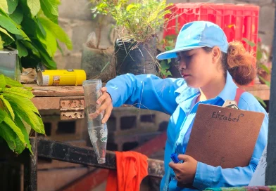 minsa, jornada de fumigación y abatización, distrito v de managua, managua, barrios de managua