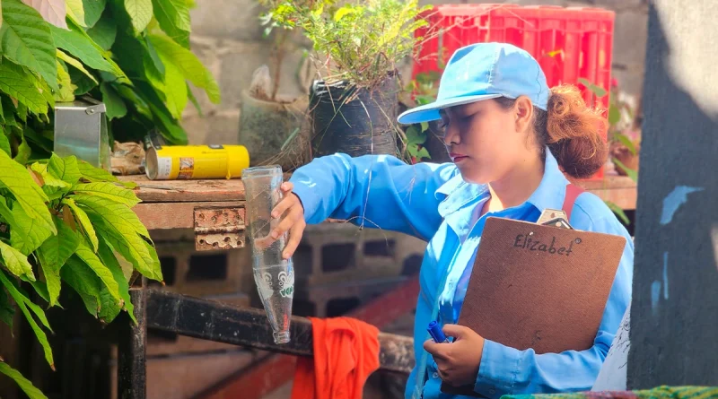 minsa, jornada de fumigación y abatización, distrito v de managua, managua, barrios de managua