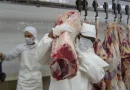 carne bovina, mag, nicaragua, consumo y comercio, sistema de producción, octubre 2025, 342.6 millones de libras