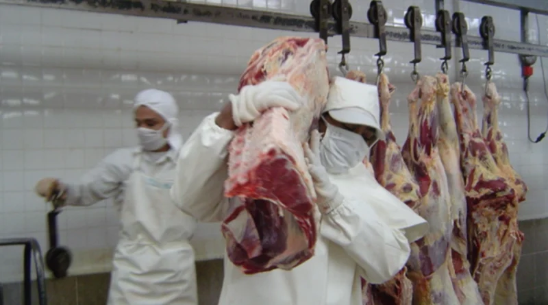 carne bovina, mag, nicaragua, consumo y comercio, sistema de producción, octubre 2025, 342.6 millones de libras
