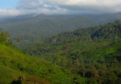 reserva de bosawas, senderismo, nicaragua,